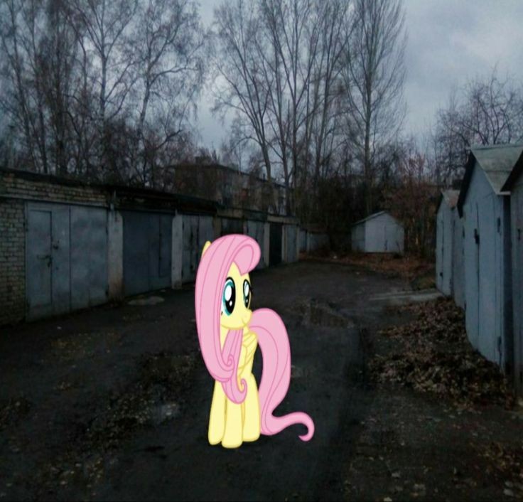 Create meme: fluttershy may little pony, fluttershy pony , darkness