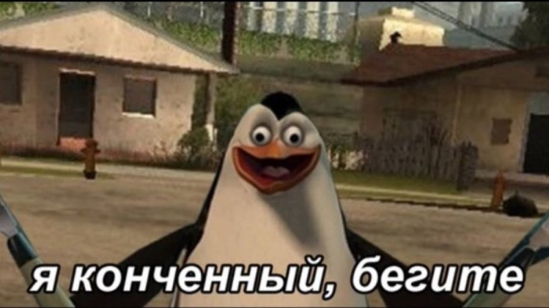 Create meme: meme penguin, funny memes, memes memes