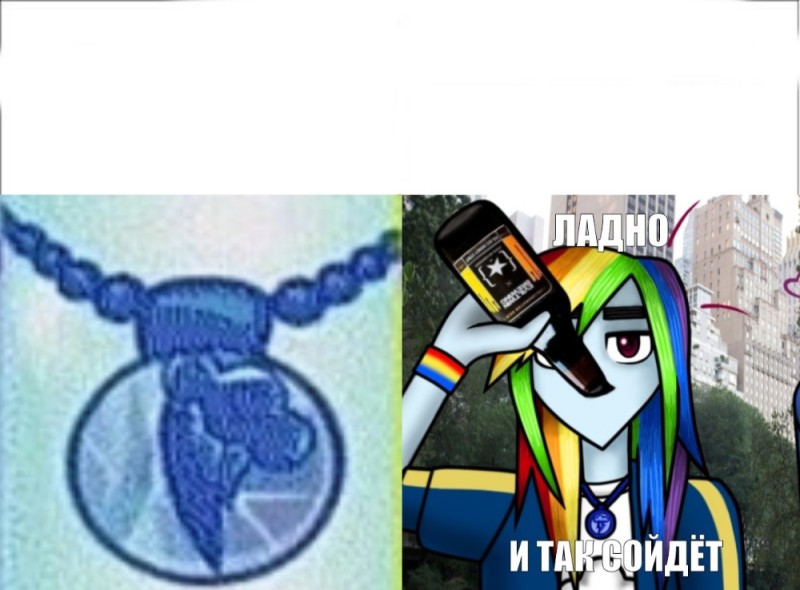 Create meme: little pony , rainbow dash , pony 