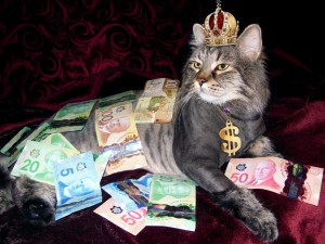 Создать мем: кошка, кот деньги, денежный котик