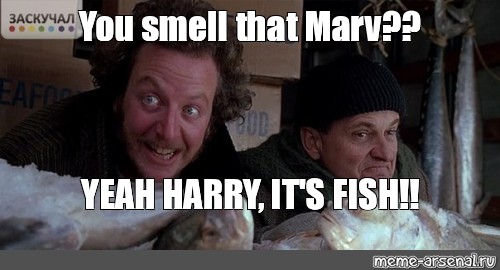 Meme: You smell that Marv?? YEAH HARRY, IT'S FISH!! - All