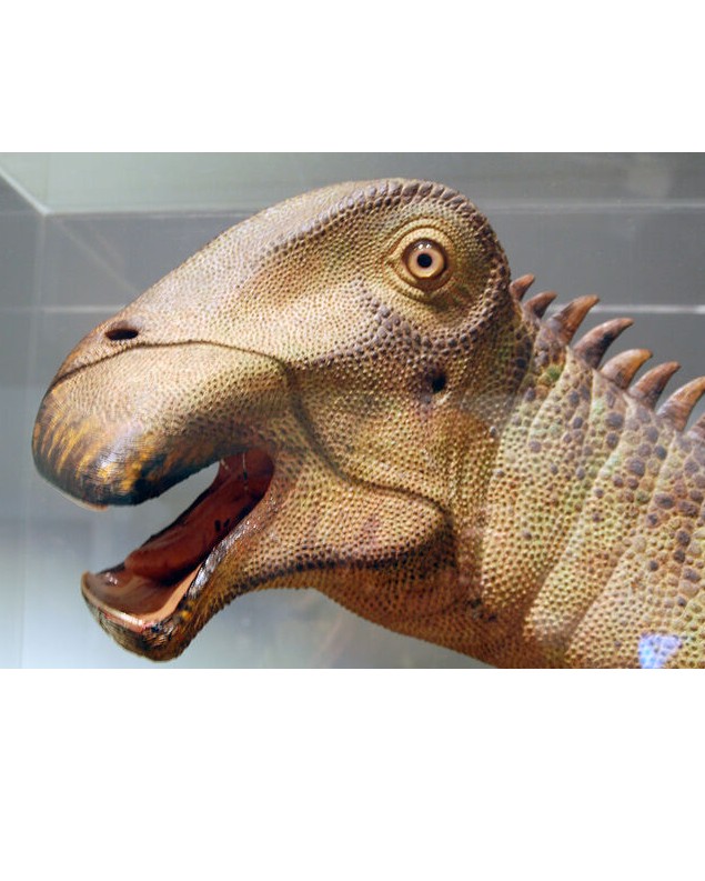 Создать мем: динозавры, динозавр у которого 500 зубов, динозавр с 5000 зубами