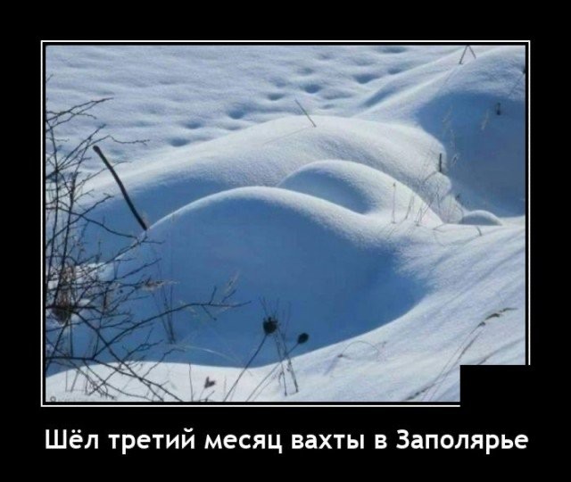 Создать мем: мемы про сибирскую зиму, писец приколы, зима юмор