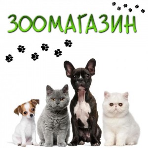 Create meme: cats, advertising of the pet shop, favorite Pets