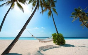 Create meme: sea beach palm trees, the beach in the Maldives, Maldives Wallpaper