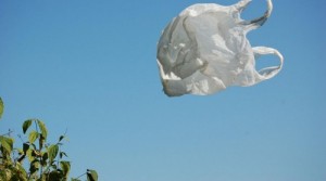 Создать мем: пластиковый пакет, plastic bag, Летающий пакет