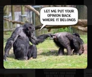 Создать мем: бонобо обезьяна, шимпанзе, шимпанзе бонобо самец