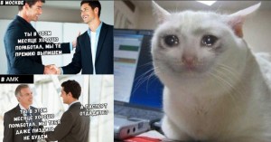 Создать мем: плачущий кот, кошка плачет мем, улыбающийся кот мем