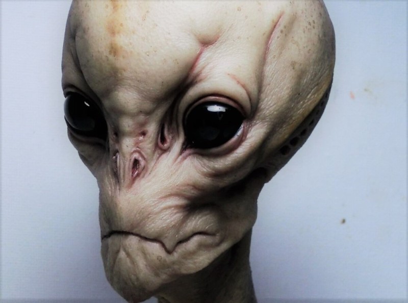 Create meme: humanoid, an alien eye, the face of an alien 