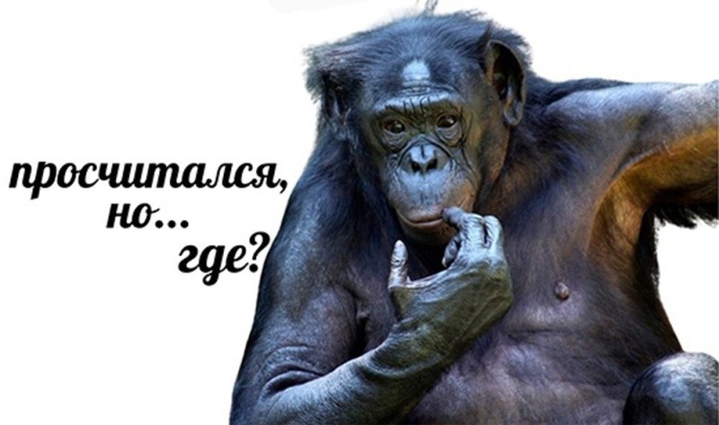 Create meme: smart monkey , the scheming monkey, Bonobo chimp