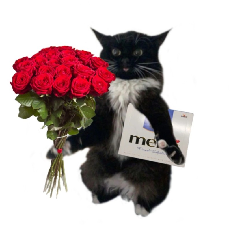 Create meme: cats with roses, cat and roses , bouquet of 25 roses "red piano"