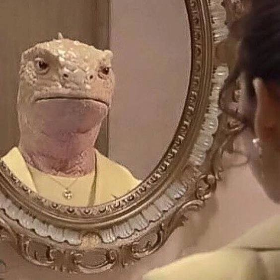 Создать мем: секретное вторжение, ящерица в зеркале, фильм про рептилоидов