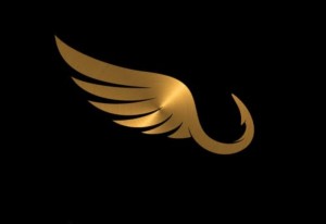 Создать мем: золотые крылья на белом фоне, логотип птица, значок крылья