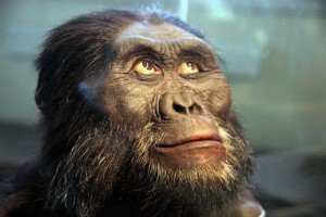 Create meme: Australopithecus, Australopithecus afar