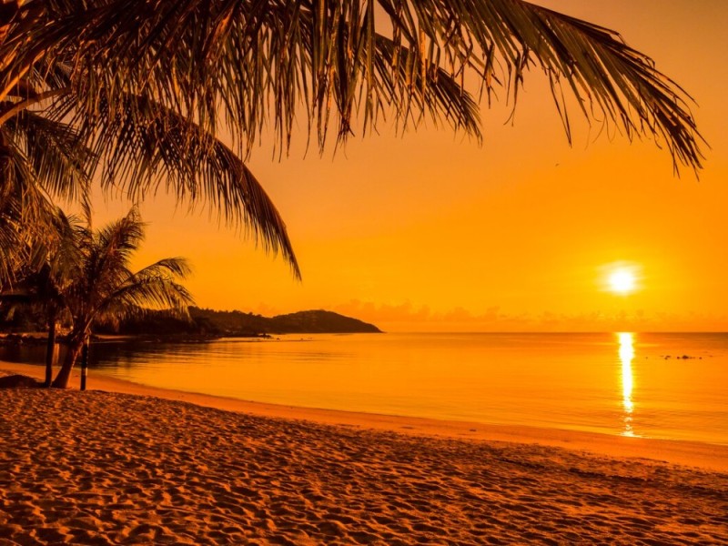 Create meme: palm beach sunset, sea beach sunset, beautiful sunset on the beach