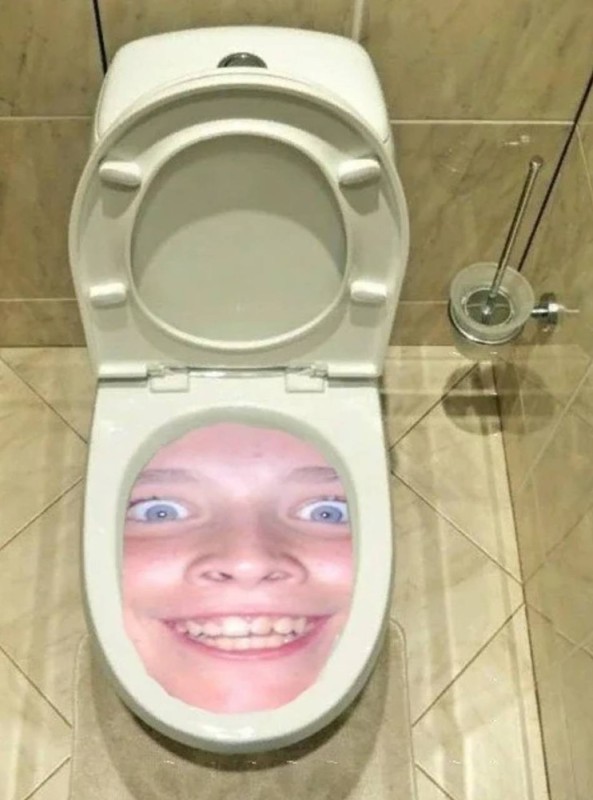 Создать мем: унитаз, туалет мем, смешной туалет