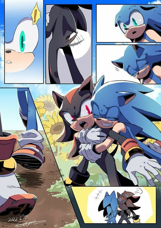 Create meme: sonic the hedgehog , sonic and shadow, sonic comics