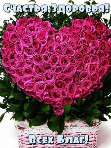 Create meme: a large bouquet, a huge bouquet of flowers, pink roses