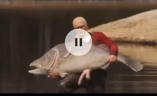 Create meme: Moby Dick is an obnoxious grandfather, the fish of my dreams, bad grandpa 
