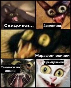 Создать мем: кошачьи мемы, мемы с котами чипсеки, мемы