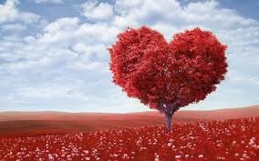 Create meme: ağaç, heart photoshop, valentine day