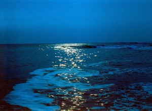 Создать мем: моря, evening, sea