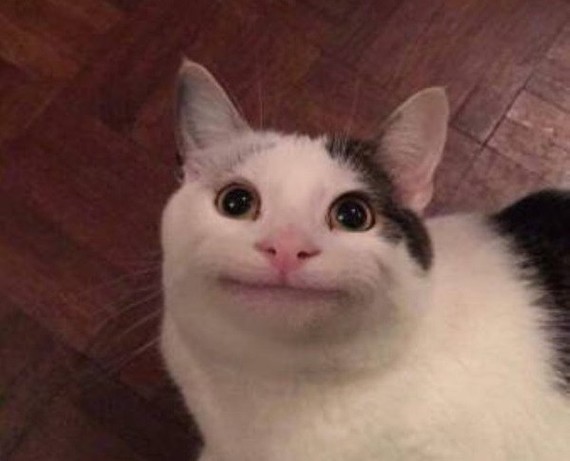 Создать мем: смешной кот мем, улыбающийся кот, кот из мема