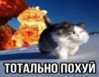 Create meme: The cat explodes, cat explosion, A cat on the background of an explosion meme