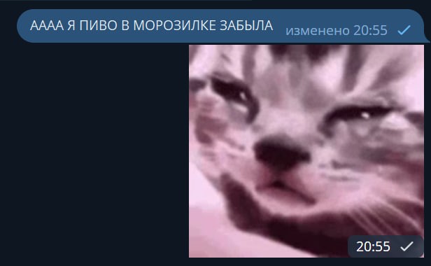 Create meme: cat , cat , crying kitten