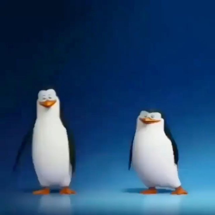 Создать мем: пингвины из мадагаскара шкипер, пингвины пингвин, мадагаскар пингвины