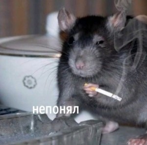 Создать мем: мем крыса, крыса крыса, крыса с сигаретой