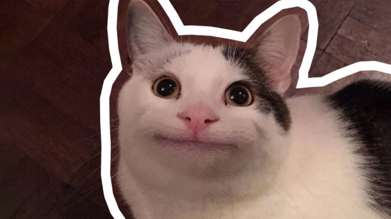 Создать мем: ъуъ кот, мемный котик, котик улыбается мем