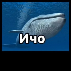 Create meme: whale, blue whale, the trick