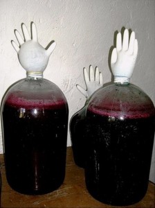 Create meme: how to make a long fermenting wine Mein, grape, what should be the grape wine