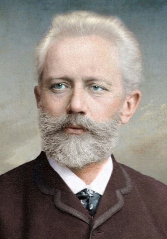Create meme: pyotr ilyich tchaikovsky, pyotr ilyich tchaikovsky 1840 1893, Pyotr Ilyich Tchaikovsky portrait of the composer