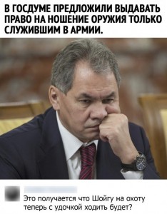 Create meme: Shoigu sad, Sergei Shoigu