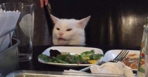 Создать мем: милый котик, котик, недовольный котик за столом