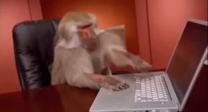 Создать мем: обезьяна за компьютером, обезьяна за компом, обезьяна за компом мем