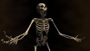 Создать мем: скелет тела, весёлый скелет, скелет человека кости