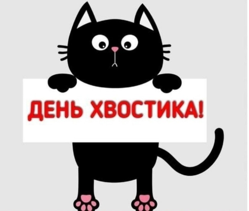 Создать мем: котик стикер, наклейки котики, кот