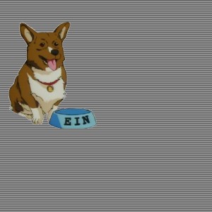 Create meme: Corgi dog, Corgi