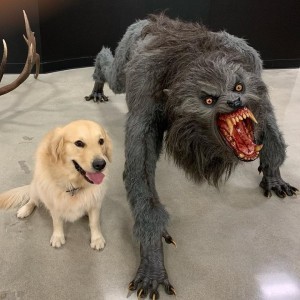 Create meme: the dog is a werewolf, big and little dog memes, my inner beast meme