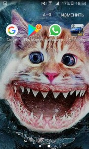 Create meme: cat, animals, cat shark