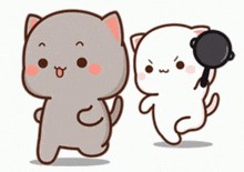 Create meme: cute kawaii cats, kawaii cat, kawaii seals couple