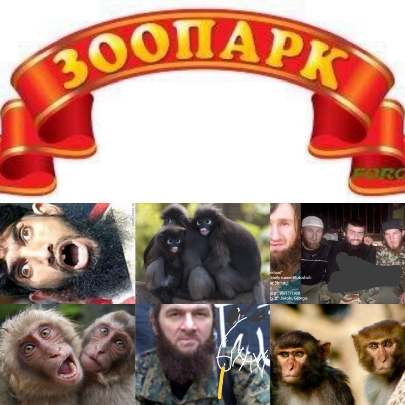 Create meme: planet of the apes zoo, our zoo, The inscription zoo