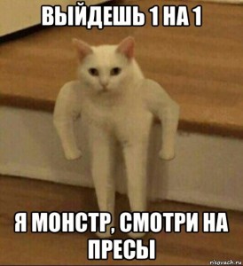 Create meme: memes, cat meme Polyot, meme Polyot