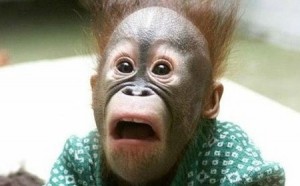 Create meme: The monkey in shock 