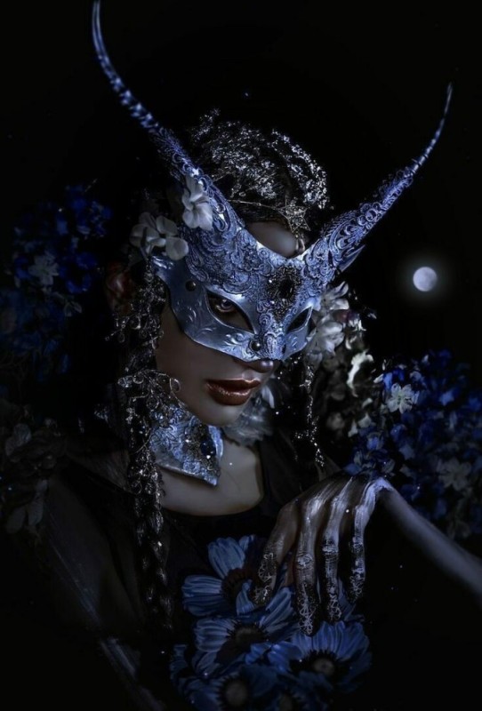 Create meme: The girl in the Venetian mask, The lady in the mask, masquerade mask