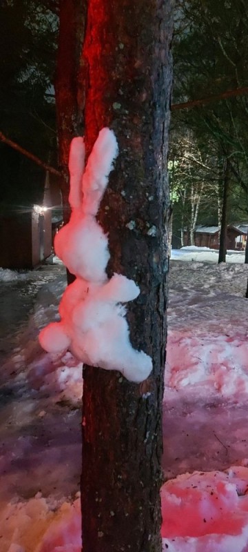 Создать мем: зайчик из снега, снежный заяц, заяц из снега на столбе