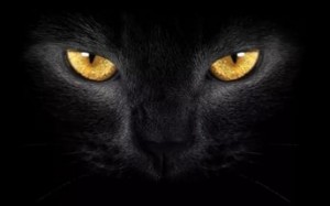 Create meme: eyes, yellow eyes, black Panther